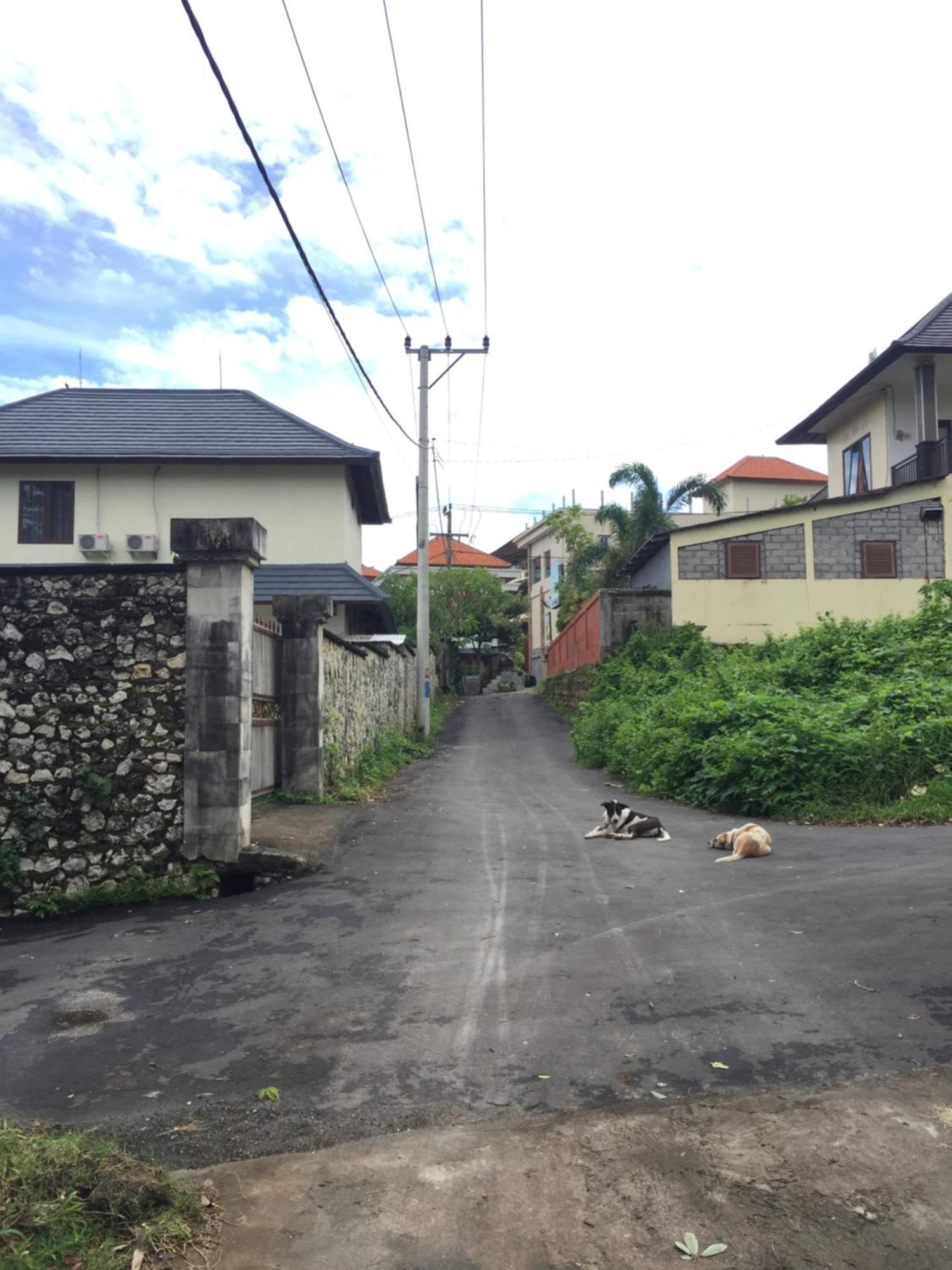 Satria Bungalow Uluwatu Buitenkant foto